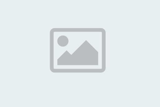Icon for Bank Transfer
